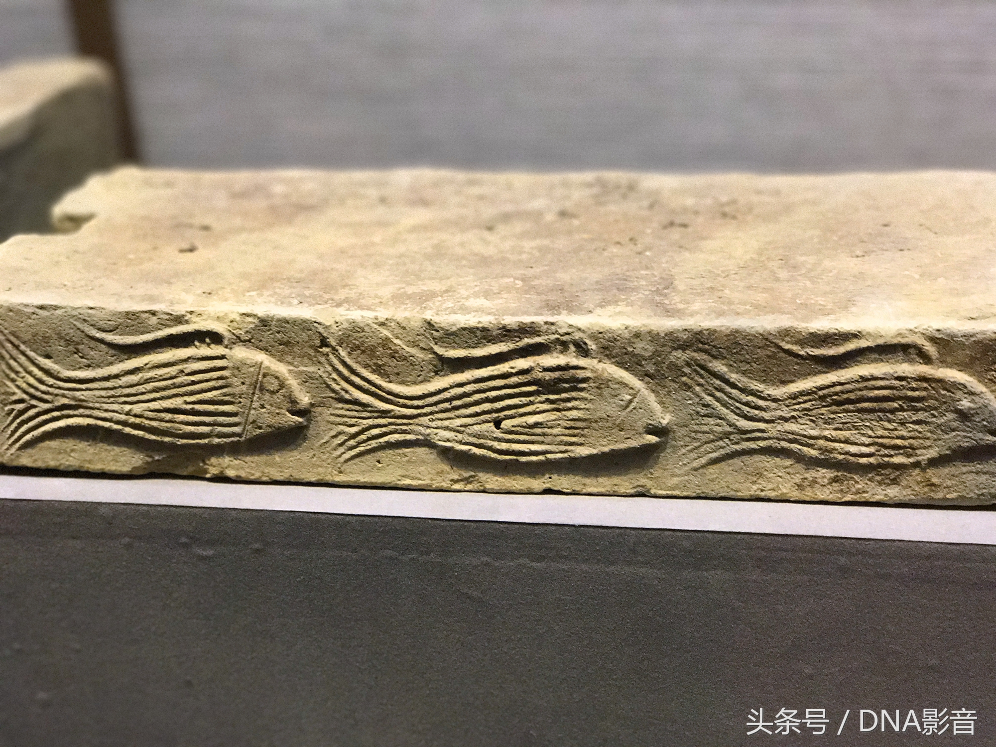 马王堆汉墓大连博物馆,大连汉代墓博物馆开放时间