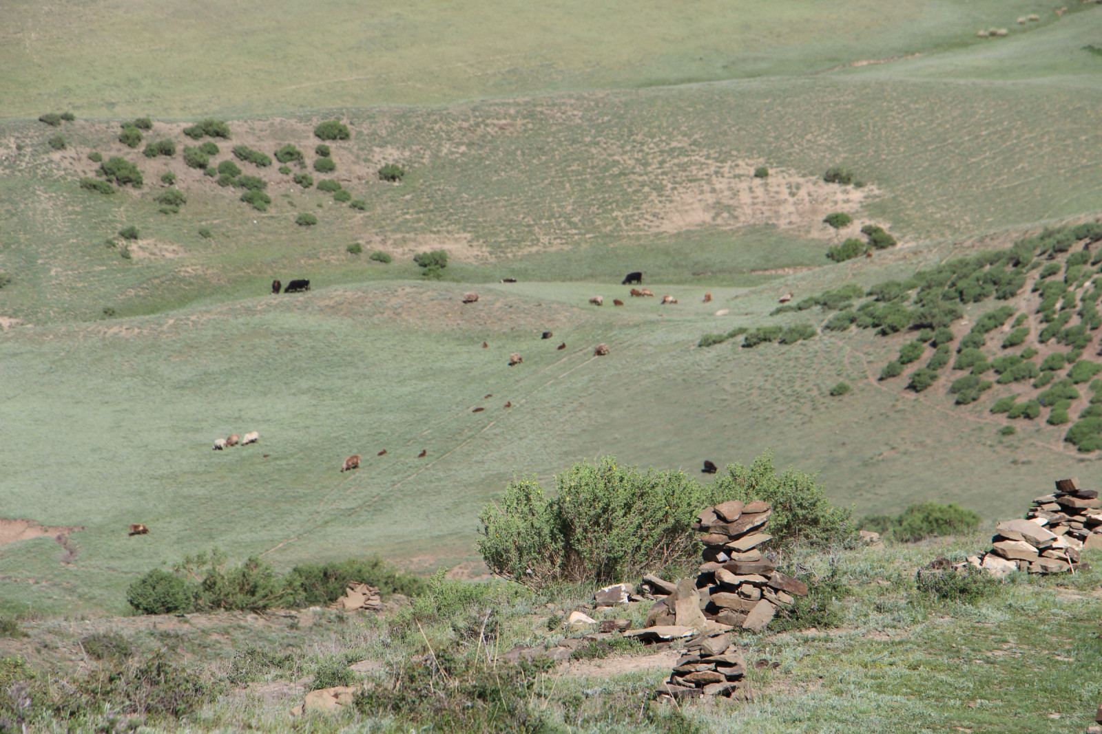乌鲁木齐石人沟民俗,乌鲁木齐风情