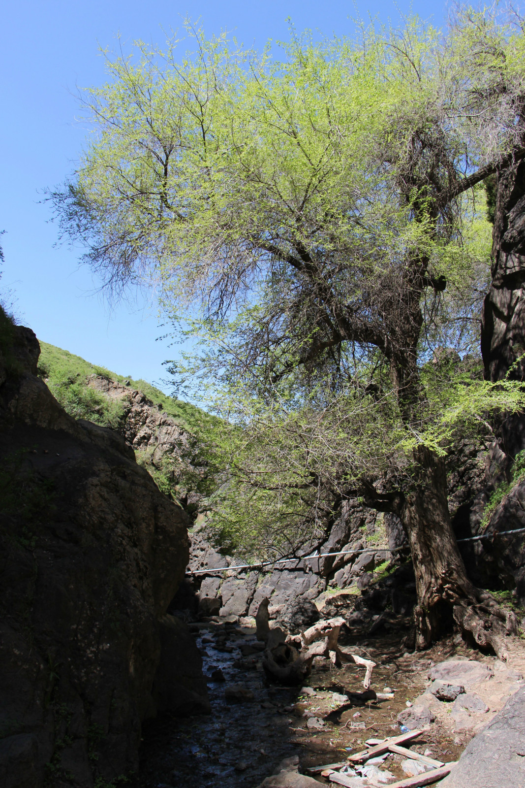 乌鲁木齐石人沟民俗,乌鲁木齐风情