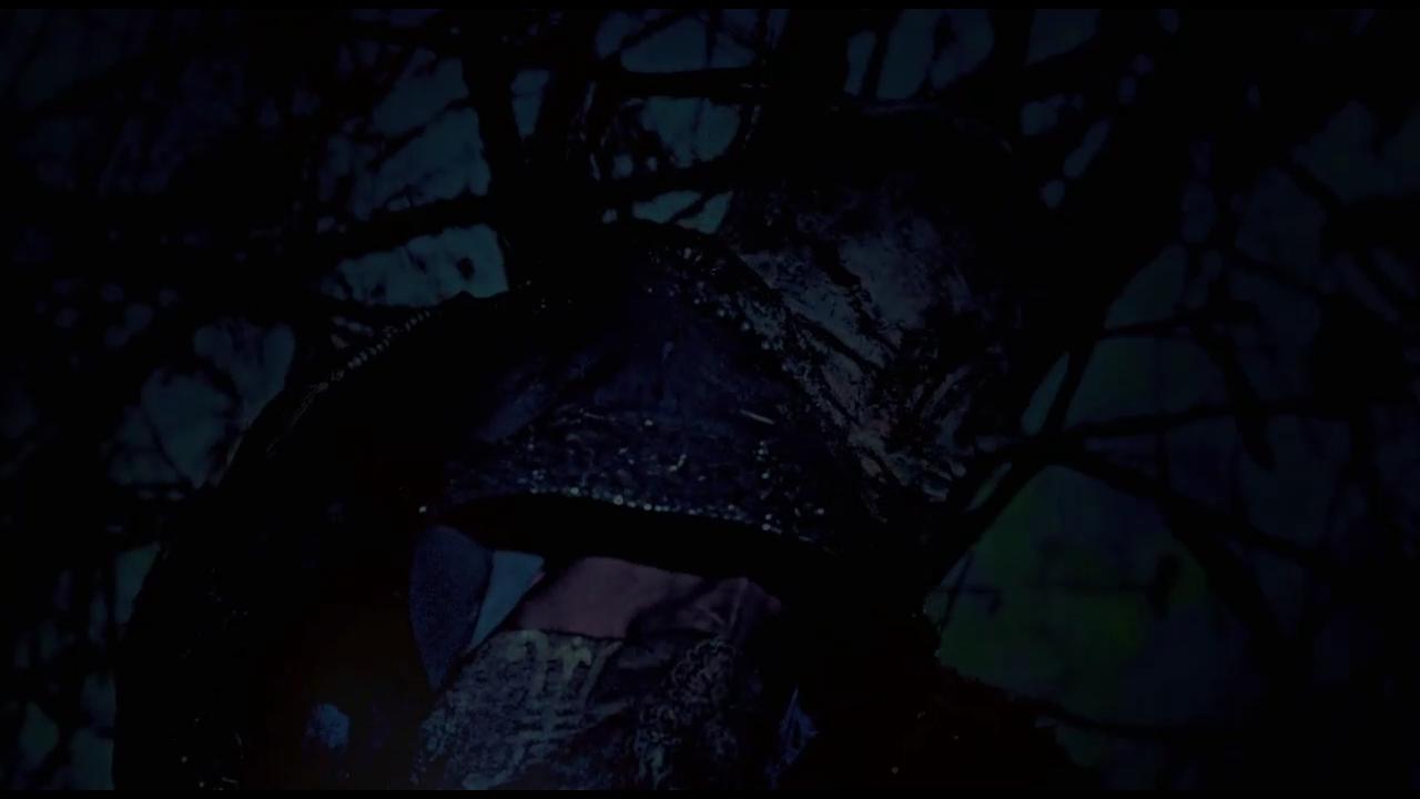 钱小豪救僵尸完整版,钱小豪救巫师完整版