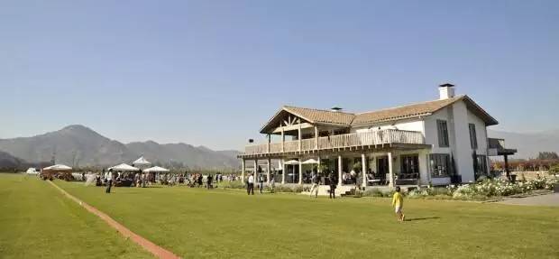 智利最好的红酒庄园,智利比较好的葡萄酒