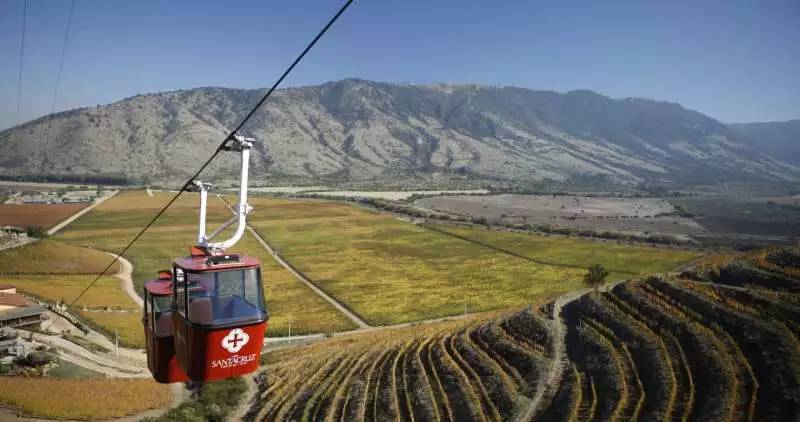 智利最好的红酒庄园,智利比较好的葡萄酒