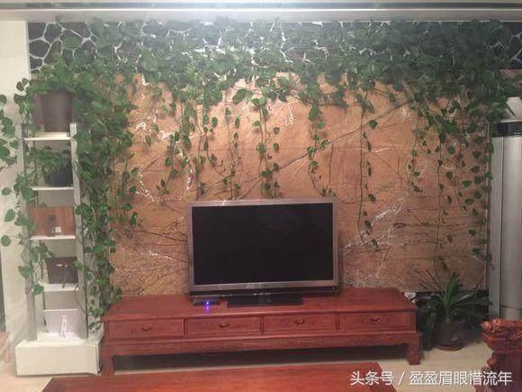 家里的绿萝生长十分缓慢怎么办,我家的绿萝长得越来越茂盛