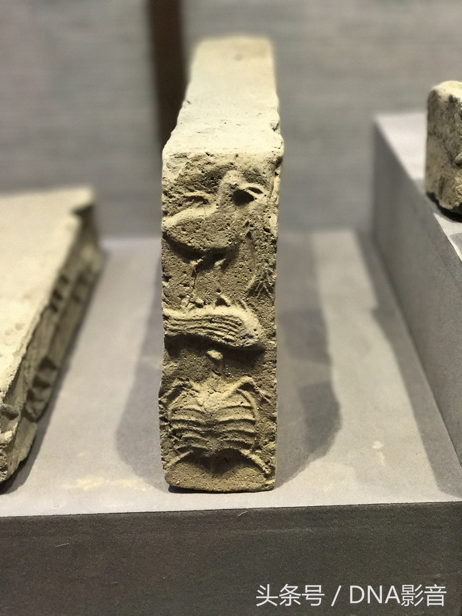 马王堆汉墓大连博物馆,大连汉代墓博物馆开放时间