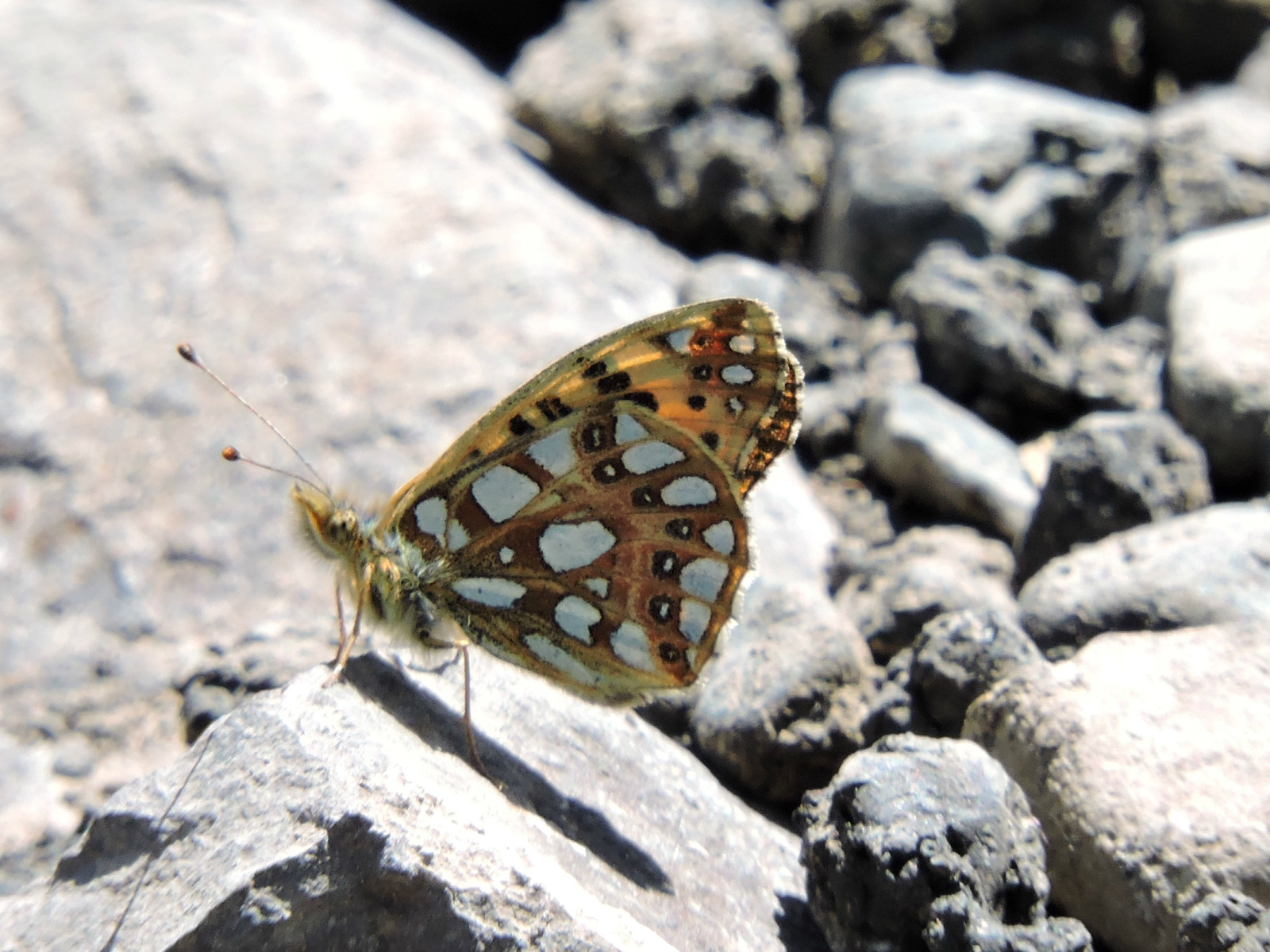 乌鲁木齐石人沟民俗,乌鲁木齐风情