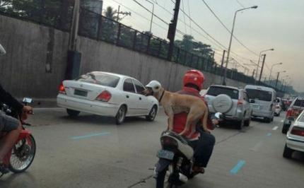 妈妈有人打你儿子你会怎么办视频,妈有人打我