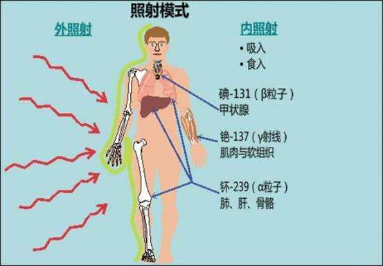 居里夫人为什么能发现放射性,居里夫人放射性成果
