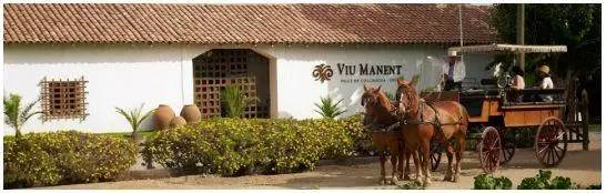 智利最好的红酒庄园,智利比较好的葡萄酒