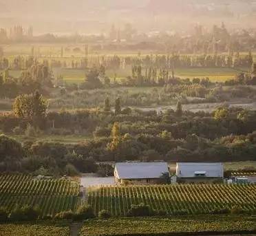 智利最好的红酒庄园,智利比较好的葡萄酒