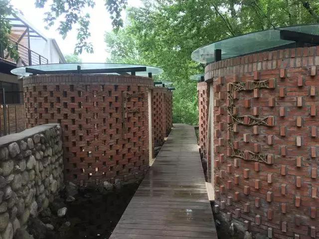 就是个简单的灶台鱼，凭什么招来那么多人？