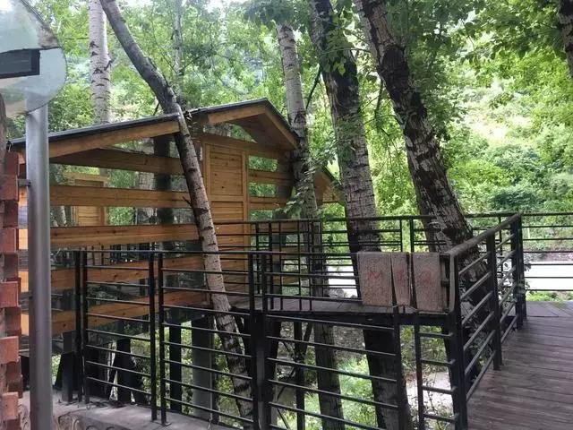 就是个简单的灶台鱼，凭什么招来那么多人？