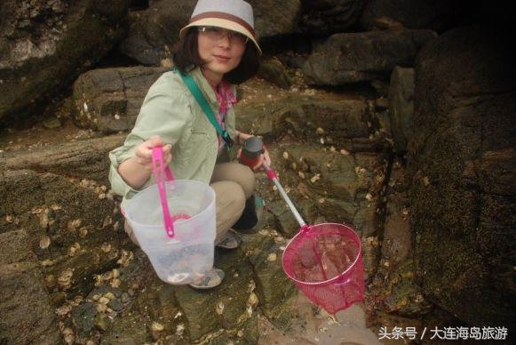 大连哈仙岛旅游多少钱,大连哈仙岛住宿推荐阳光渔村