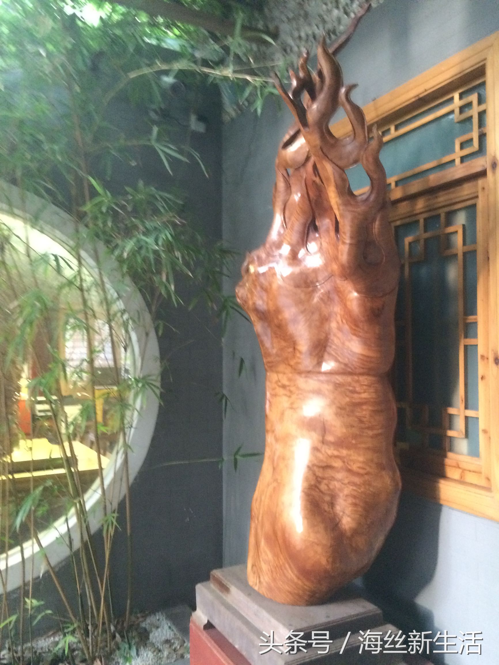 泉州比较清净的地方,总要来趟泉州感受下小城的慢生活