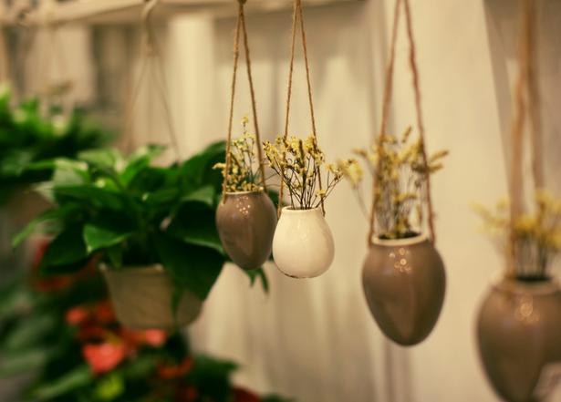 排卵期不准怎么调整,排卵期不准怎么怀孕