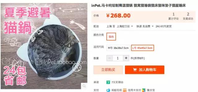 铝盆和鸡窝卖断货了,看猫咪用品创业商机