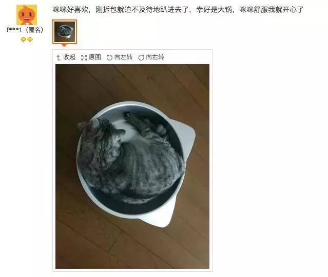 铝盆和鸡窝卖断货了,看猫咪用品创业商机