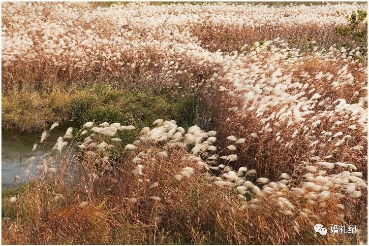 这样的婚纱照拍摄景点你中意吗,婚纱照拍摄圣地推荐