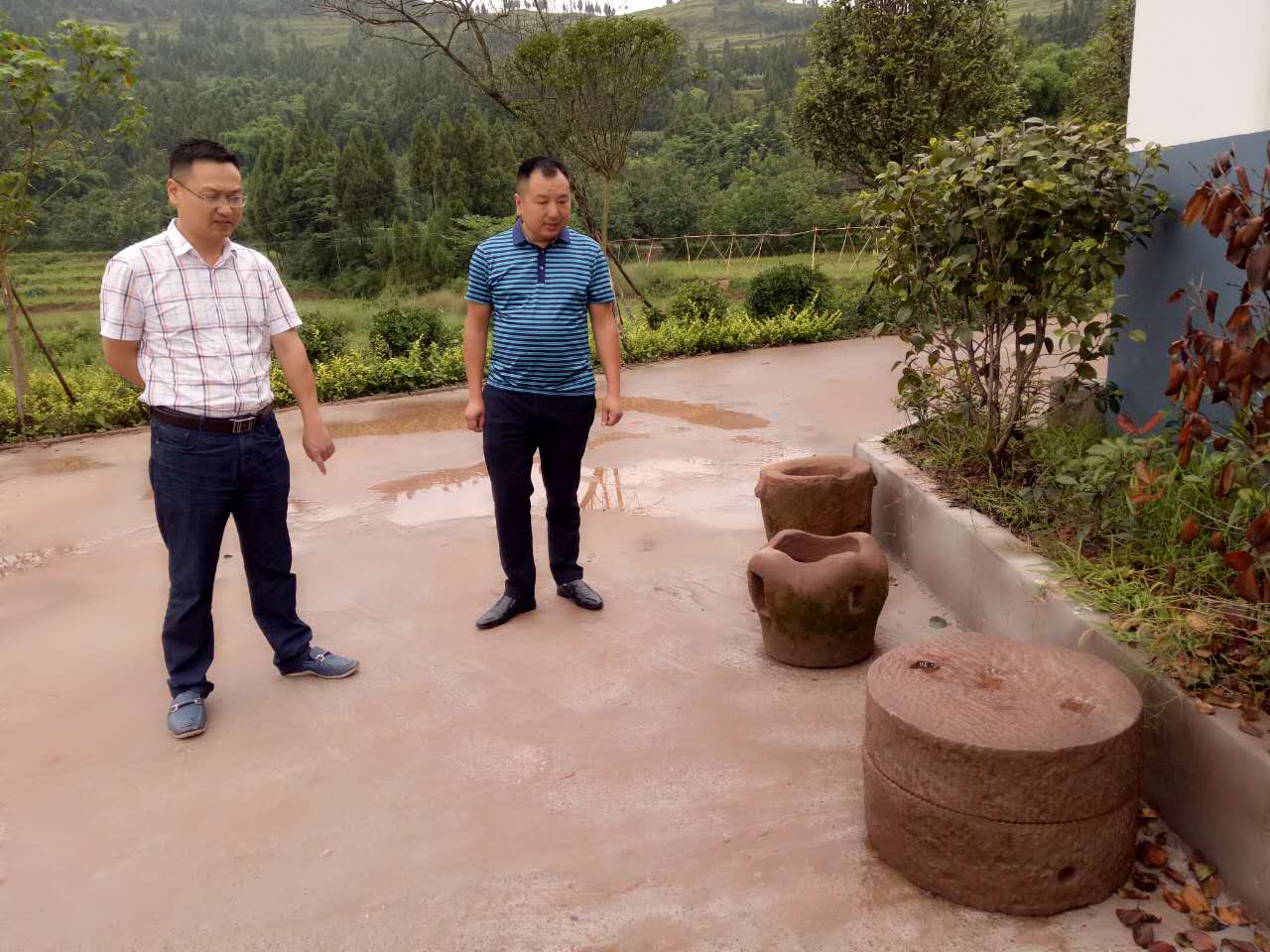 南充市世阳镇最新视频,南充世阳镇最新消息