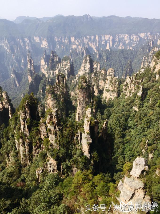 张家界五日游多少钱一个人 (自己张家界六日游详细攻略)