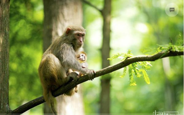 武汉出发自驾游张家界攻略,从南宁去张家界自驾游攻略