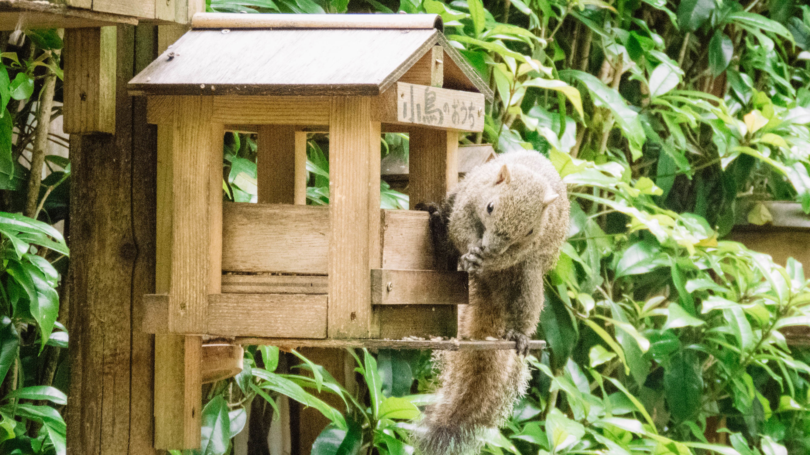 东京镰仓横滨旅游攻略,东京镰仓箱根伊豆富士山路线
