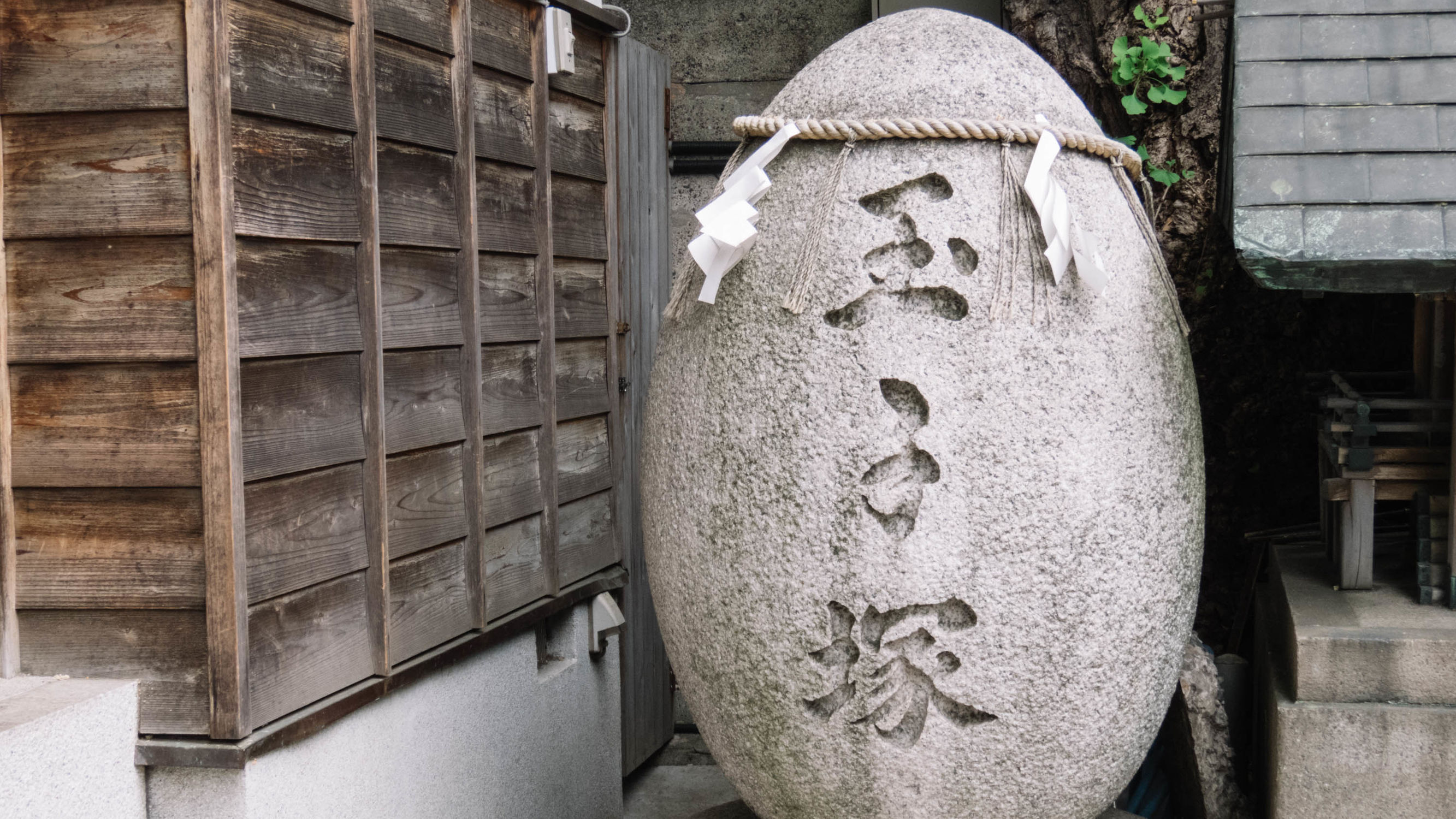 东京镰仓横滨旅游攻略,东京镰仓箱根伊豆富士山路线
