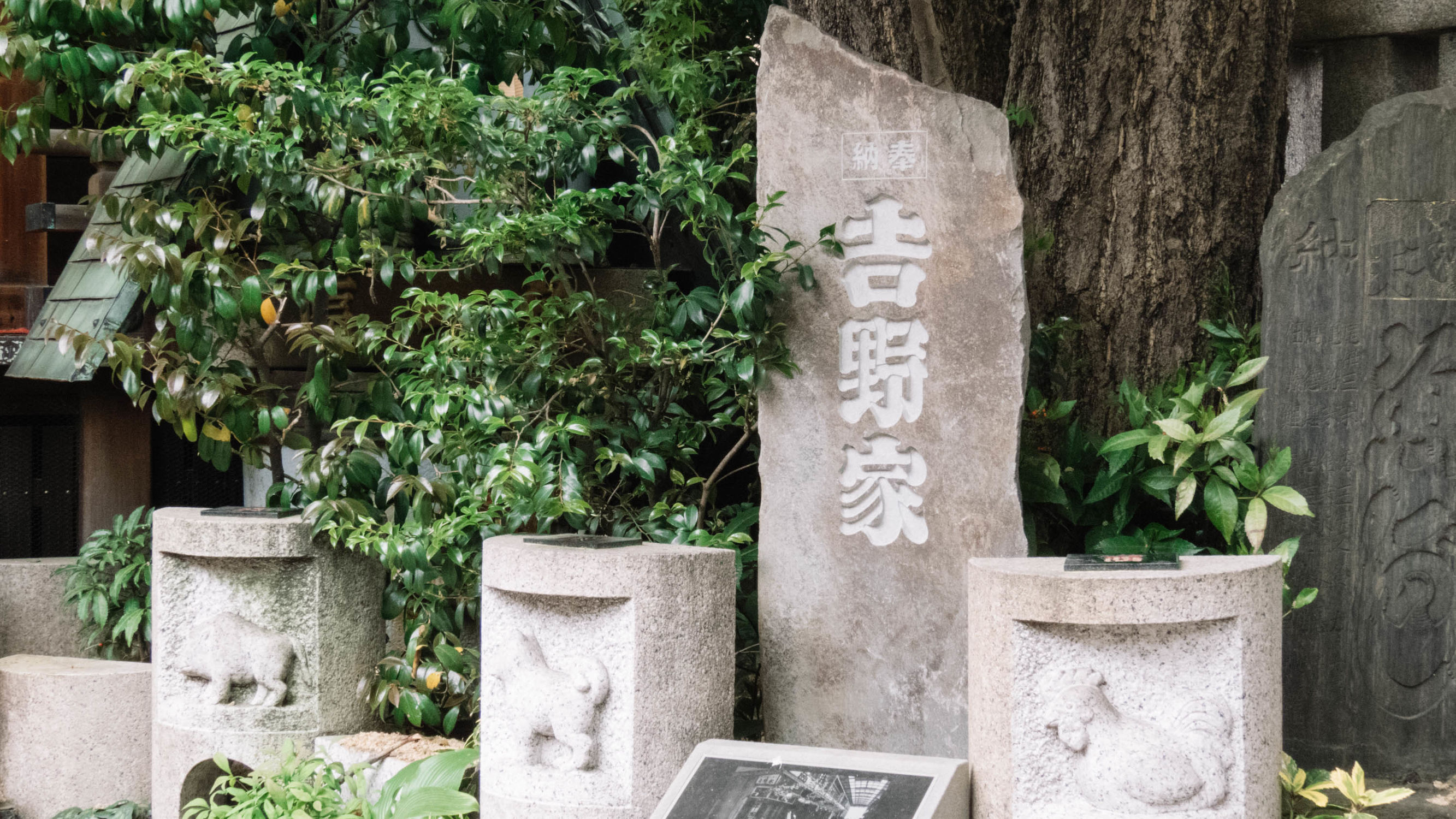 东京镰仓横滨旅游攻略,东京镰仓箱根伊豆富士山路线