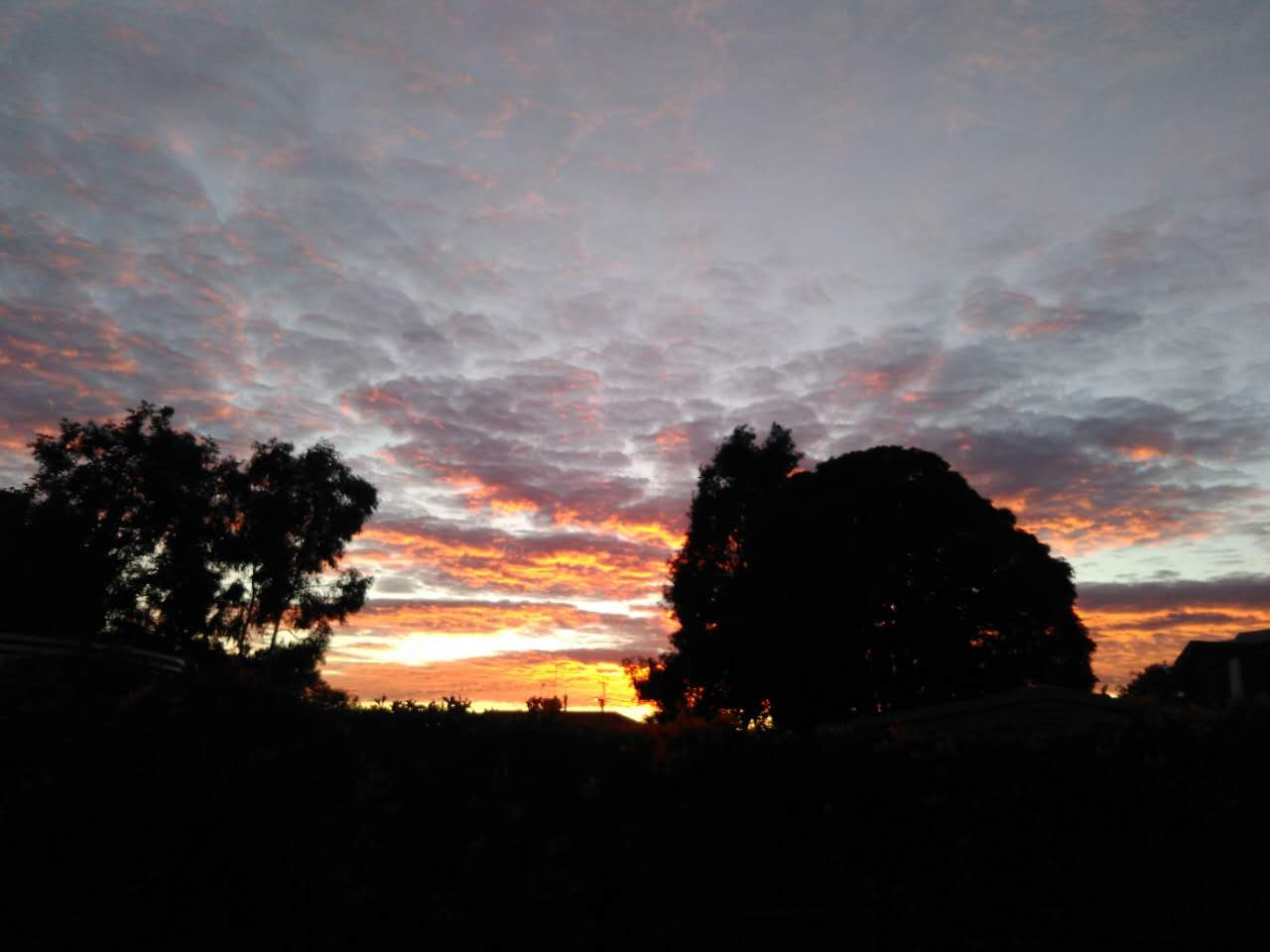 流浪在悉尼,流浪在澳洲的真实生活