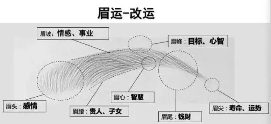 真正的开运眉图片,开运眉为啥那么贵
