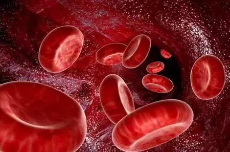 再障造血干细胞移植,新桥医院重型再障造血干细胞移植