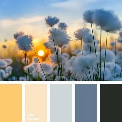 这份色盲都不会搭错的色彩搭配秘籍，赶紧Get！