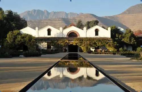 智利最好的红酒庄园,智利比较好的葡萄酒