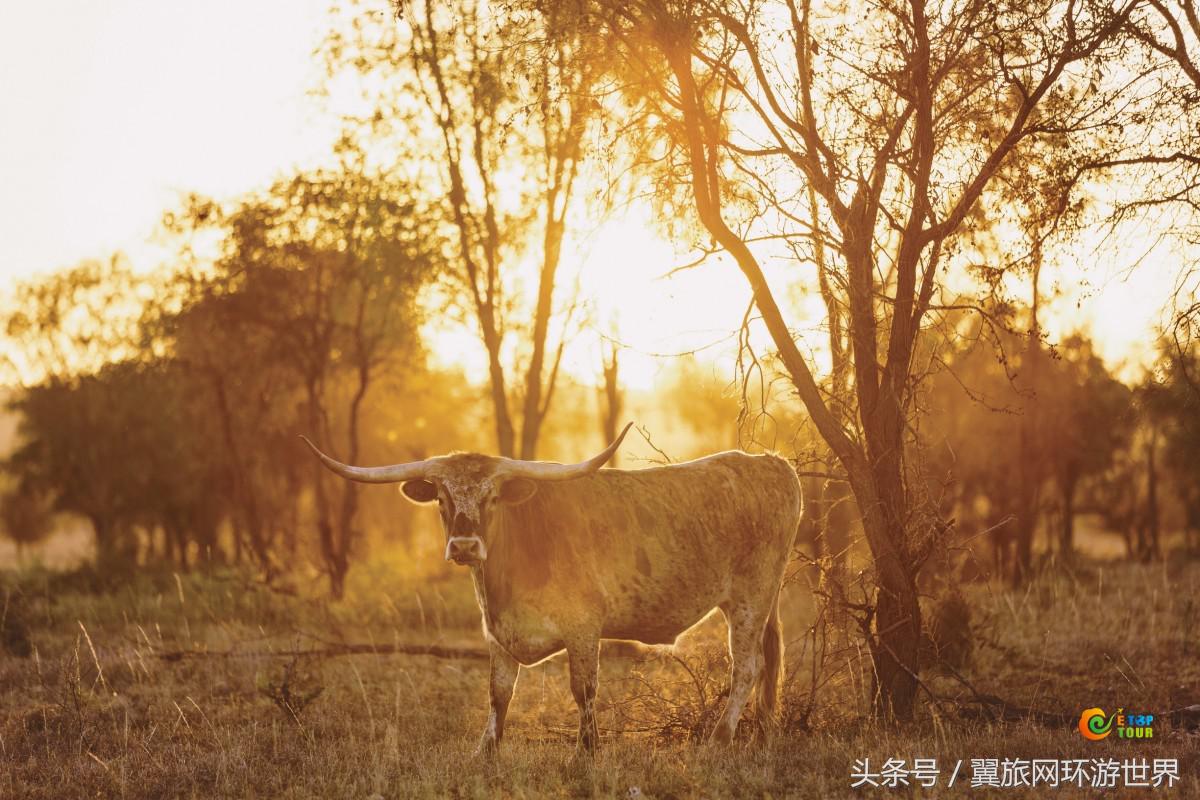 暑期去哪嗨？昆士兰100个亲子旅行项目等着您