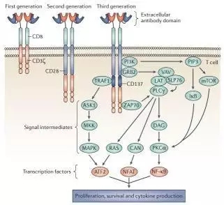 免疫治疗如何给药,免疫治疗有什么药