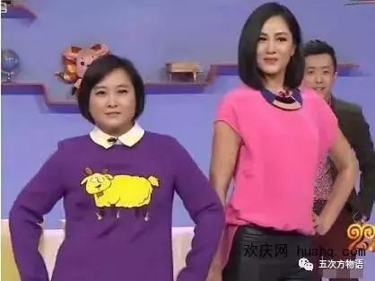 虞美人与虞美人,虞美人深度解析