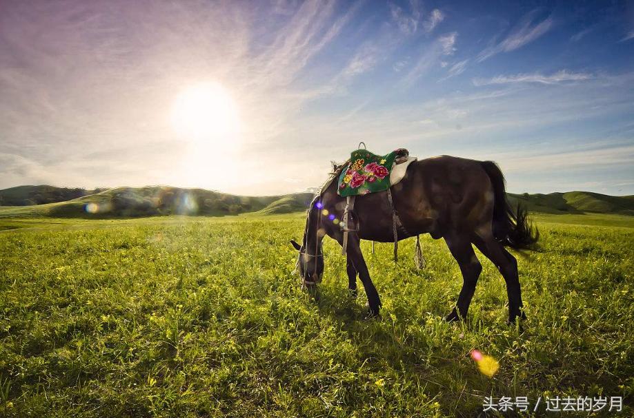 我国不同省份的车牌号,车牌号省份字母简称