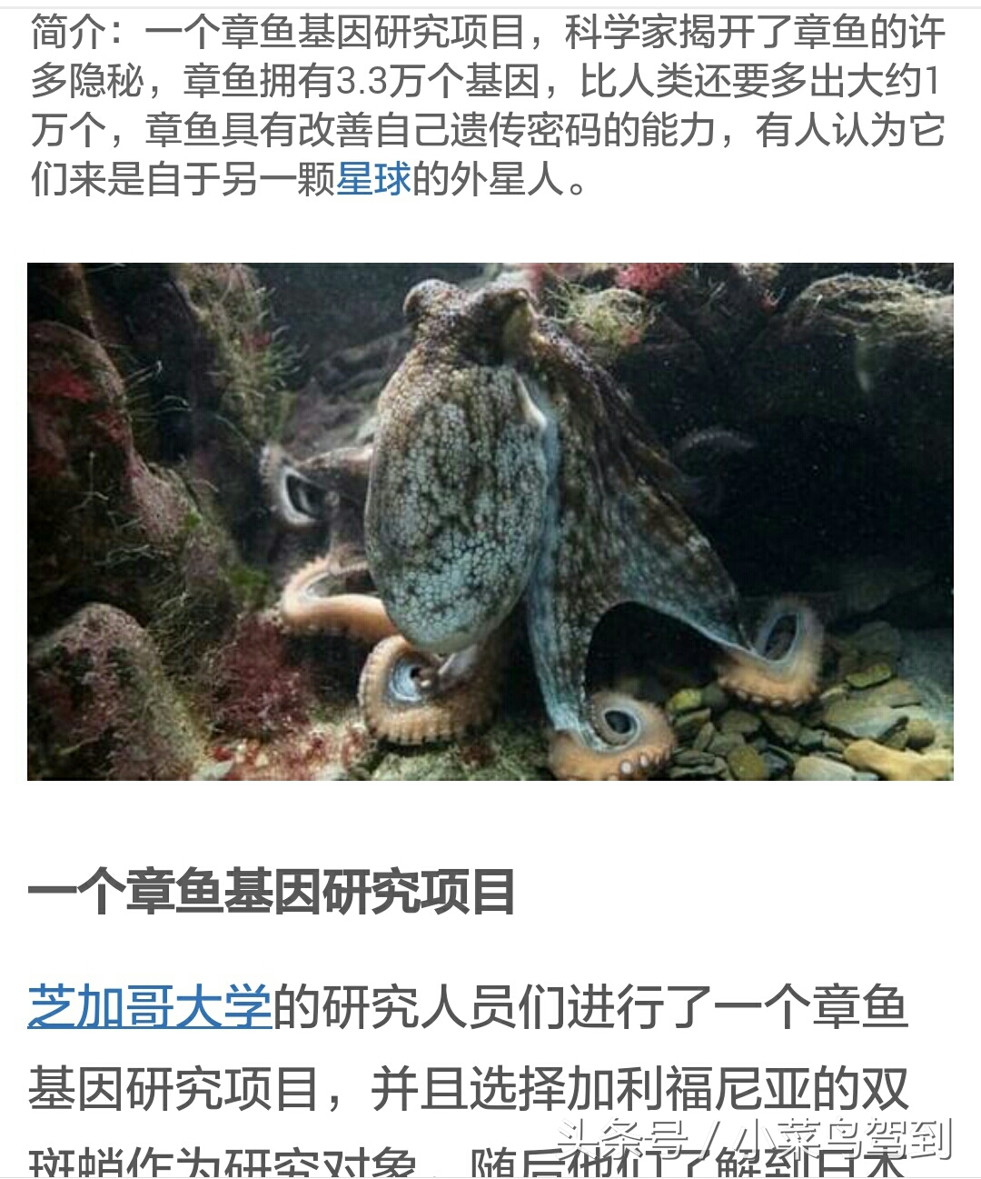 这货居然是外星来的？