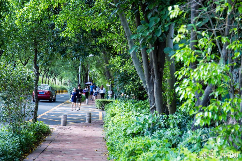 深圳世界之窗中途出去能再进吗,深圳世界之窗要准备什么