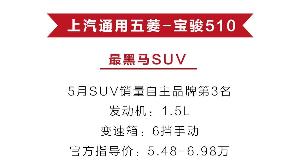 山寨suv,2010年最好卖的suv