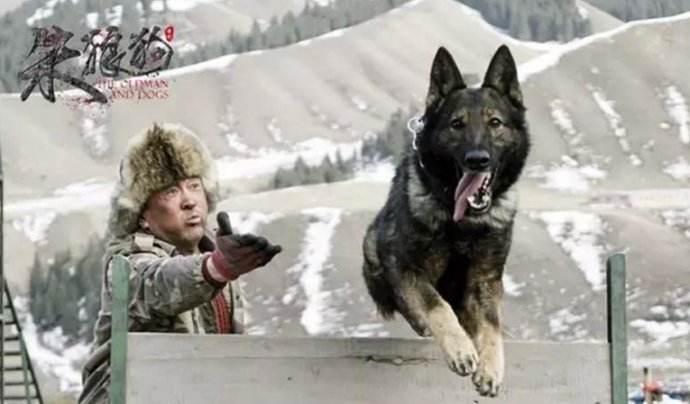 血狼犬战争片,血狼犬大战狼群电影