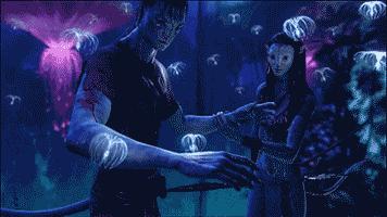 秘鲁巨型荷兰猪真的有吗,秘鲁荷兰猪巨型