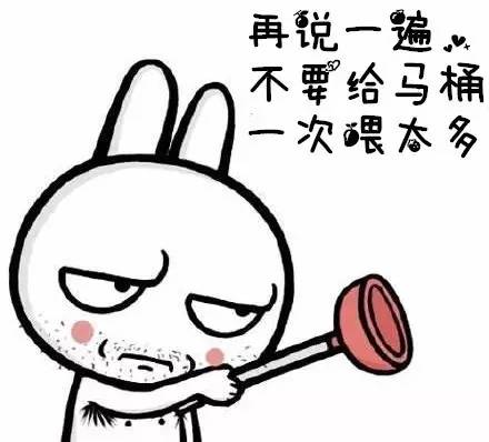 秘鲁巨型荷兰猪真的有吗,秘鲁荷兰猪巨型