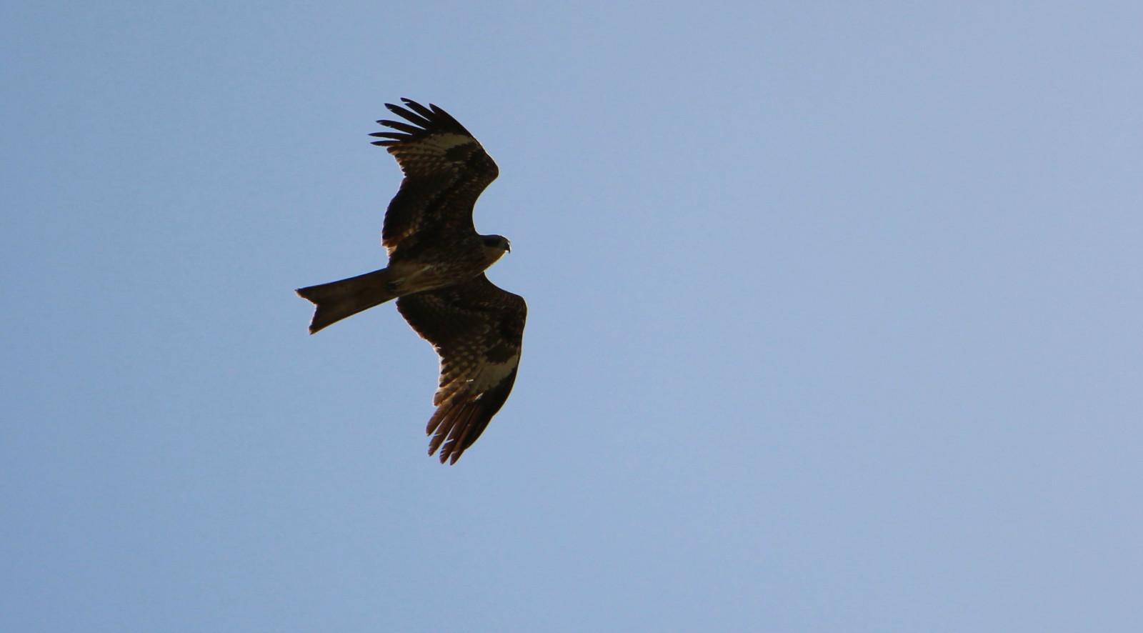 乌鲁木齐石人沟民俗,乌鲁木齐风情