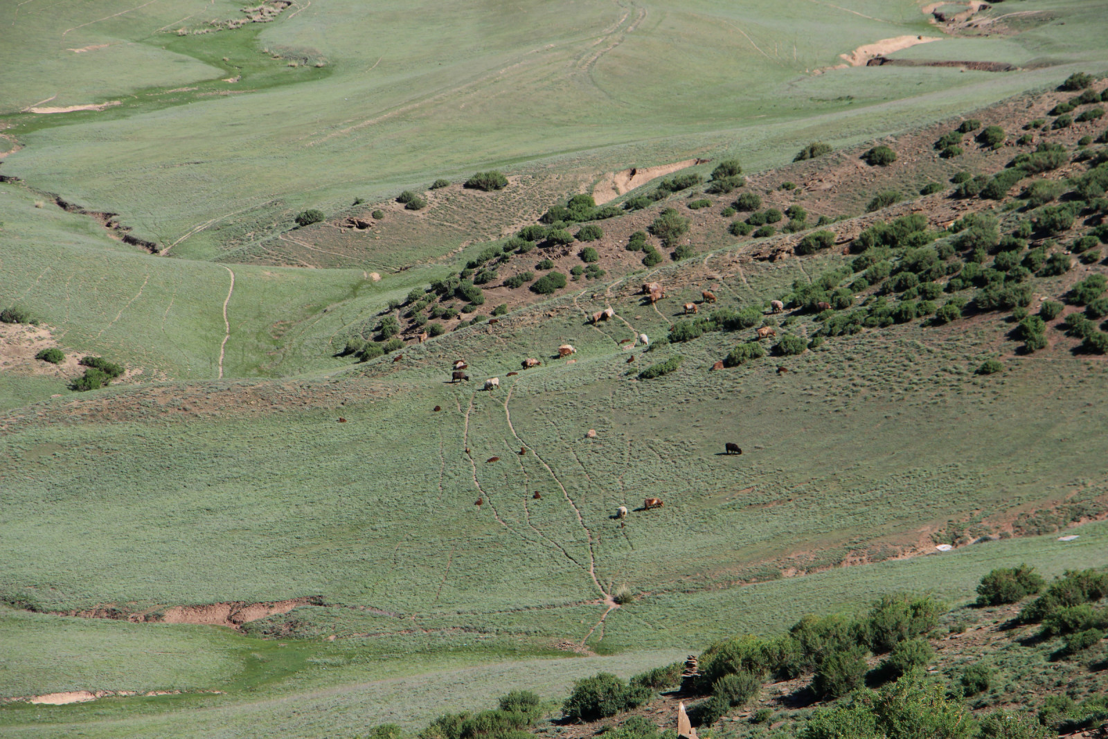 乌鲁木齐石人沟民俗,乌鲁木齐风情