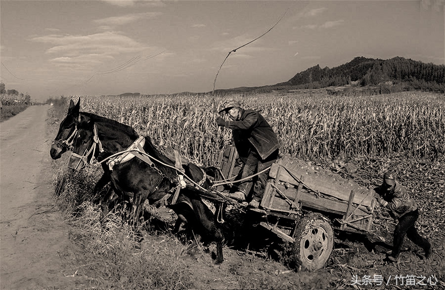 中国竹笛基础知识,竹笛跟笛子有什么区别