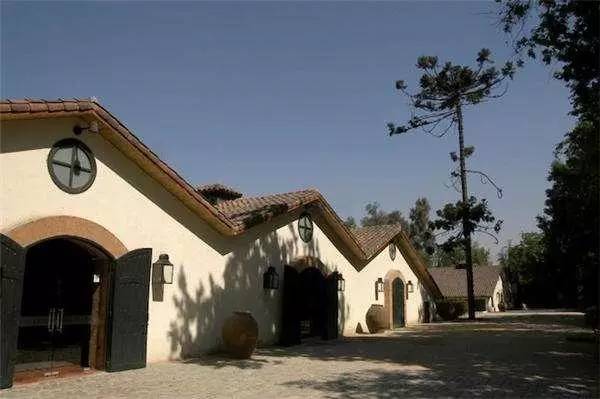 智利最好的红酒庄园,智利比较好的葡萄酒