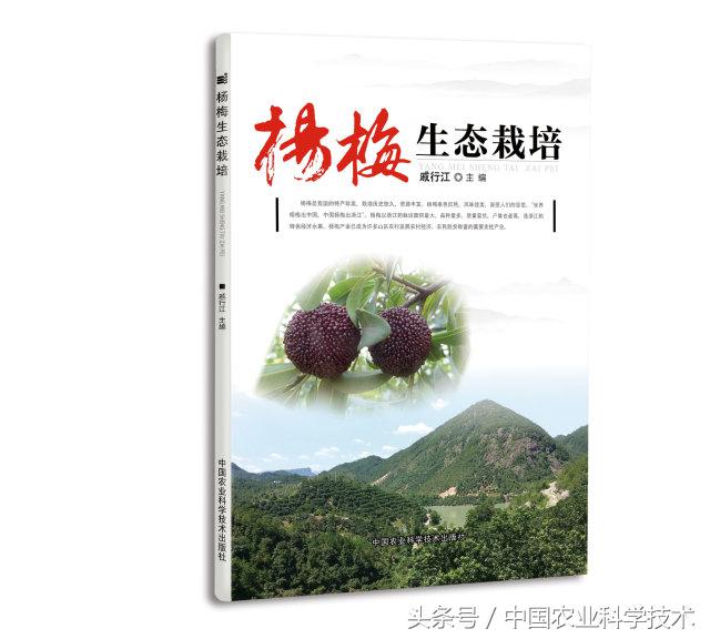 杨梅好吃树难栽下联,杨梅树难栽种么