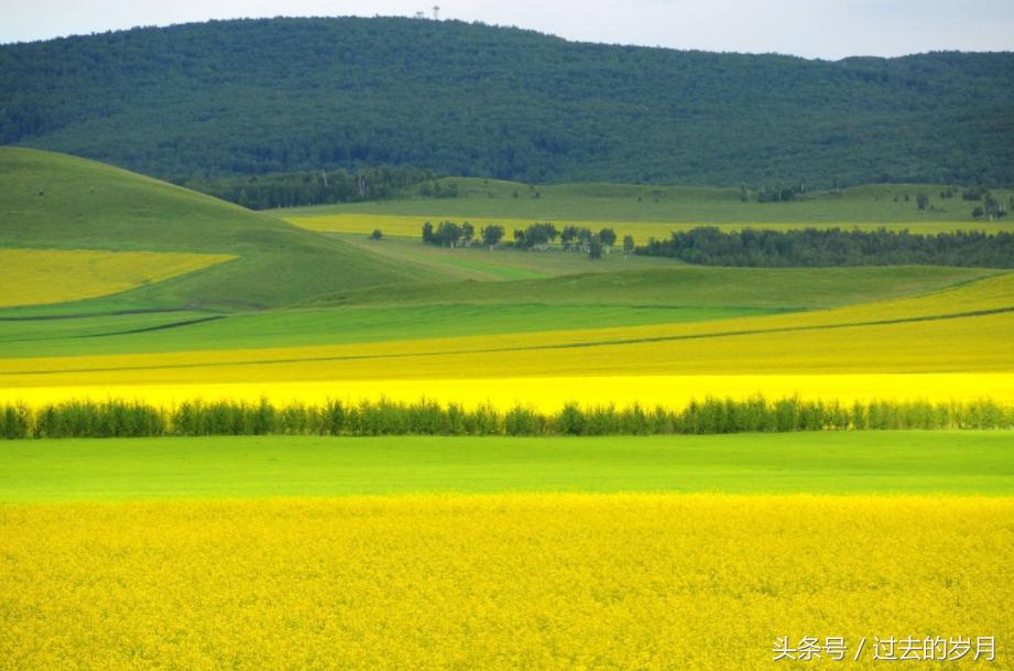 我国不同省份的车牌号,车牌号省份字母简称