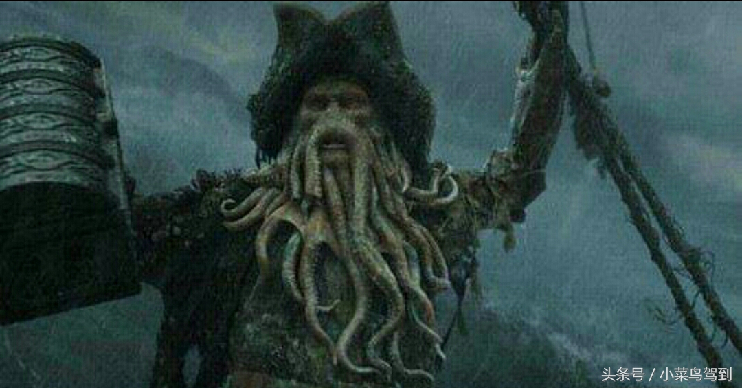 这货居然是外星来的？