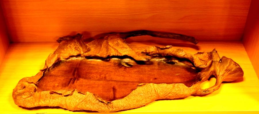 阴沉金丝楠木非物质文化遗产,非遗里的中国金丝楠